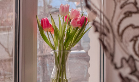 Přivítejte jaro vyzdobenými okny